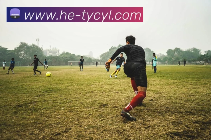 澳门太阳城网站服务体系